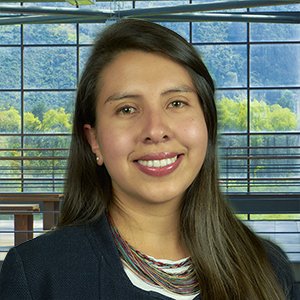 Diana Carolina Cabra Ballesteros - Julio Garavito