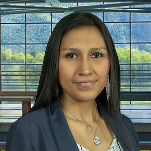 Ana Milena Olarte Arenas - Julio Garavito