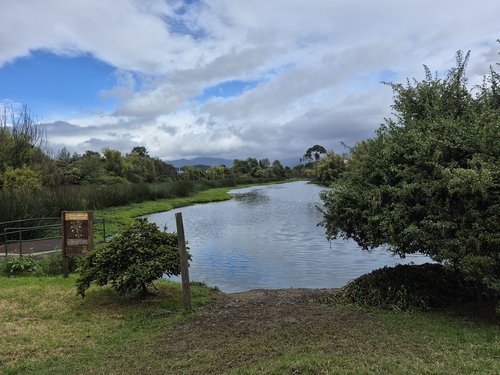 Sara Valentina Blanco Vanegas, nominada en ePOP
