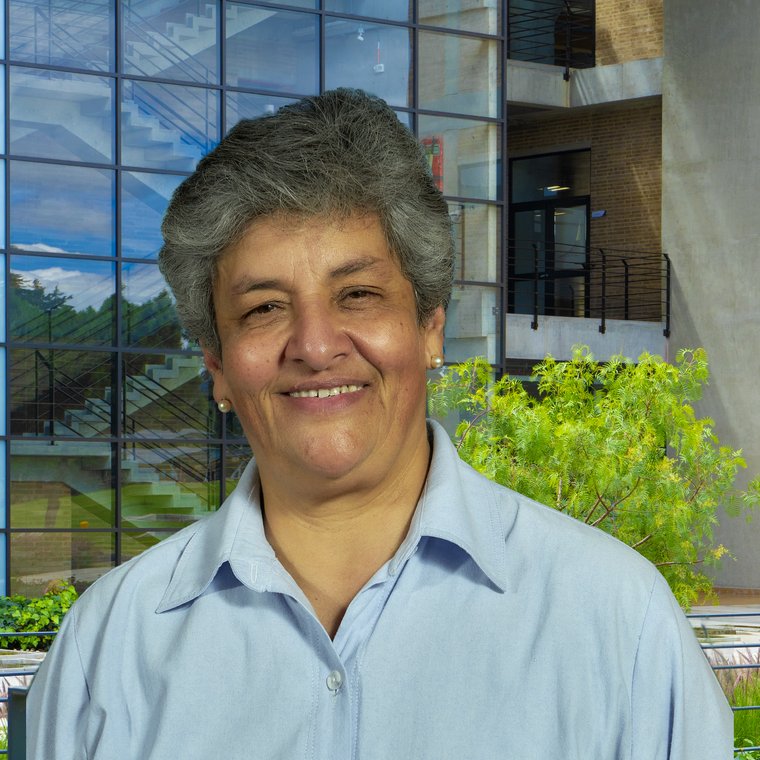 María Isabel Rosas González - Julio Garavito
