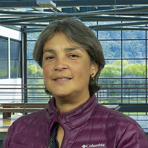 Martha Cecilia Pimienta Giraldo - Julio Garavito