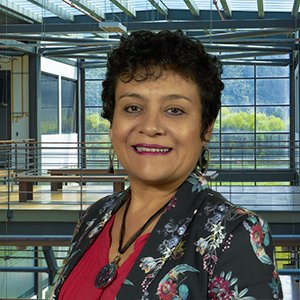 Claudia Yadira Rodríguez Ríos - Julio Garavito