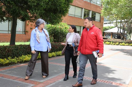 GRADUADOS - empresa Decimetrix