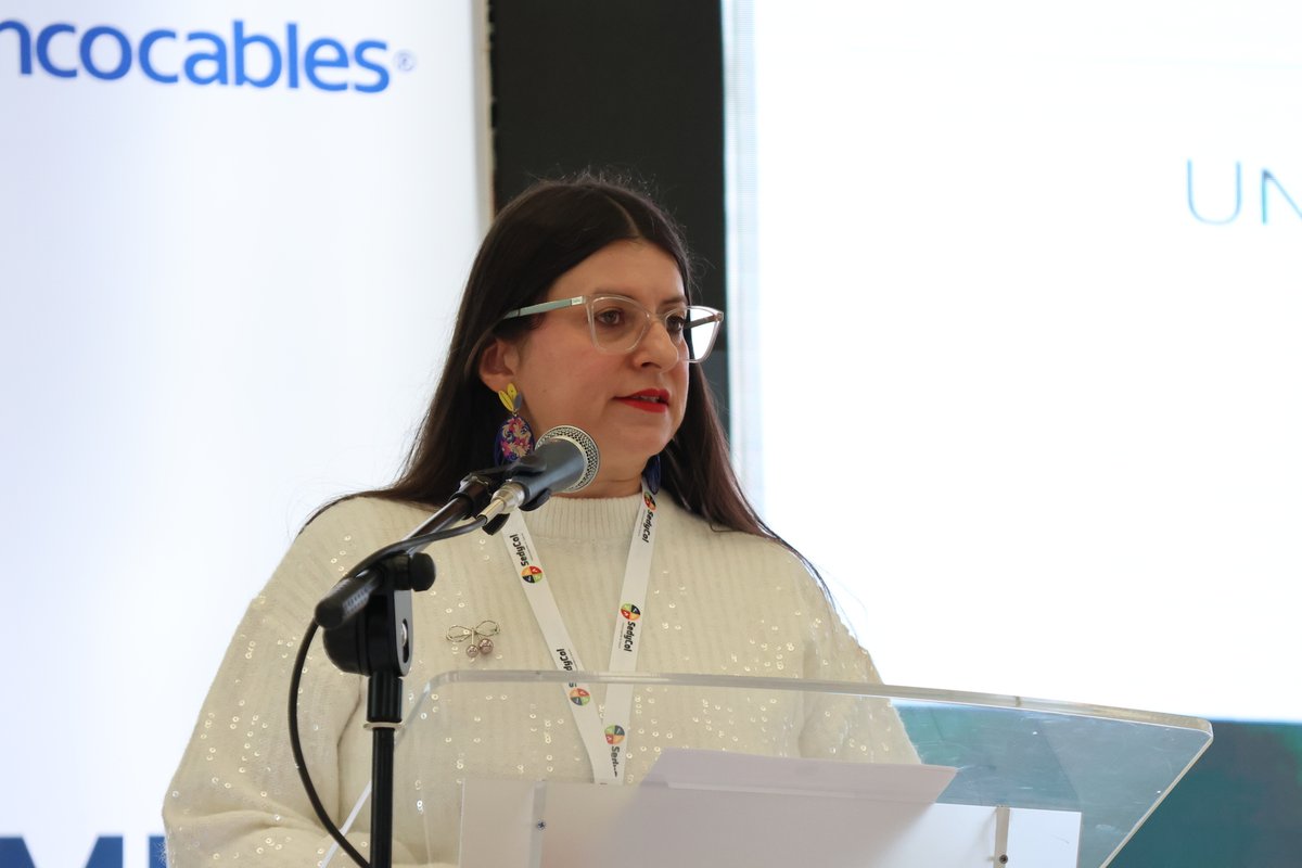 II SEMINARIO INTERNACIONAL DE GEOTECNIA