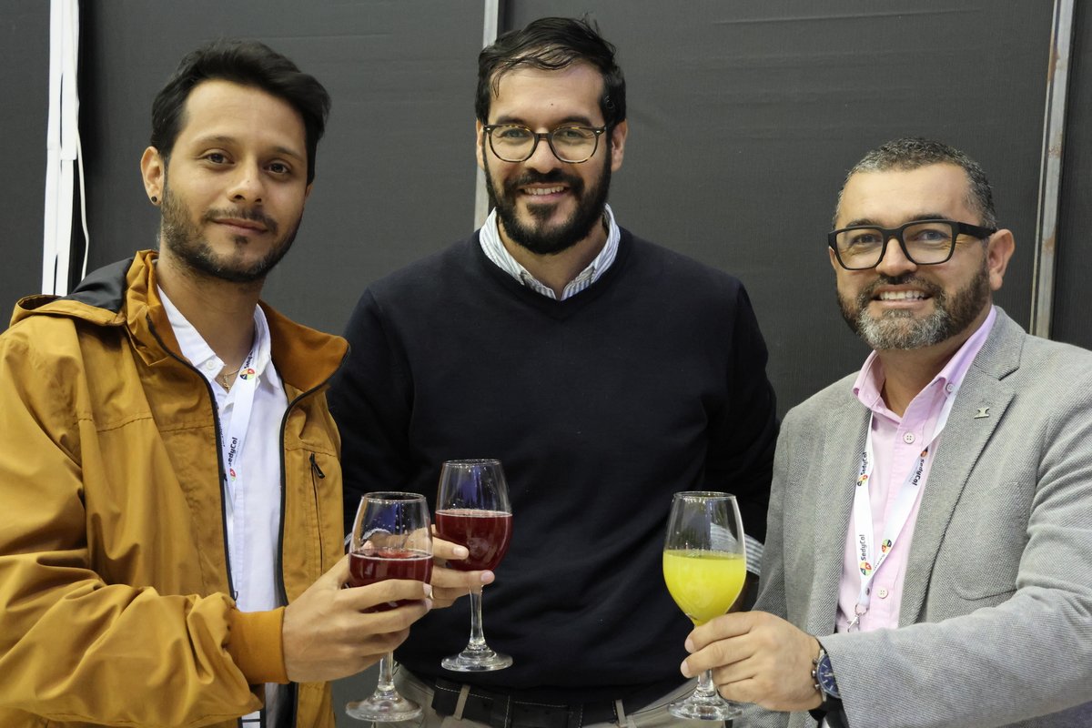 II SEMINARIO INTERNACIONAL DE GEOTECNIA