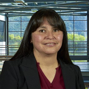 María Constanza Torres Tamayo - Julio Garavito