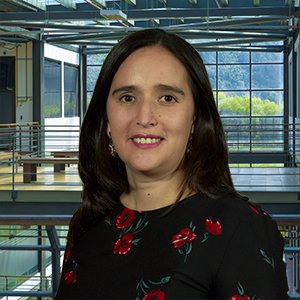 Angélica Sarmiento Lepesqueur - Julio Garavito