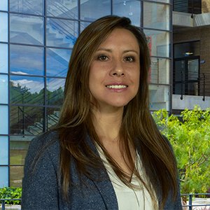 María Carolina Romero Pereira - Julio Garavito