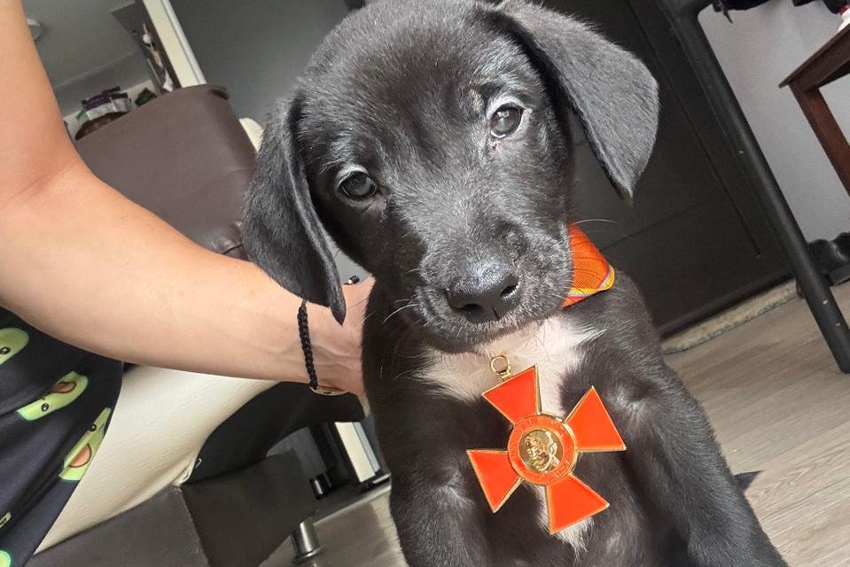 CARLOS ARTURO GOMEZ4