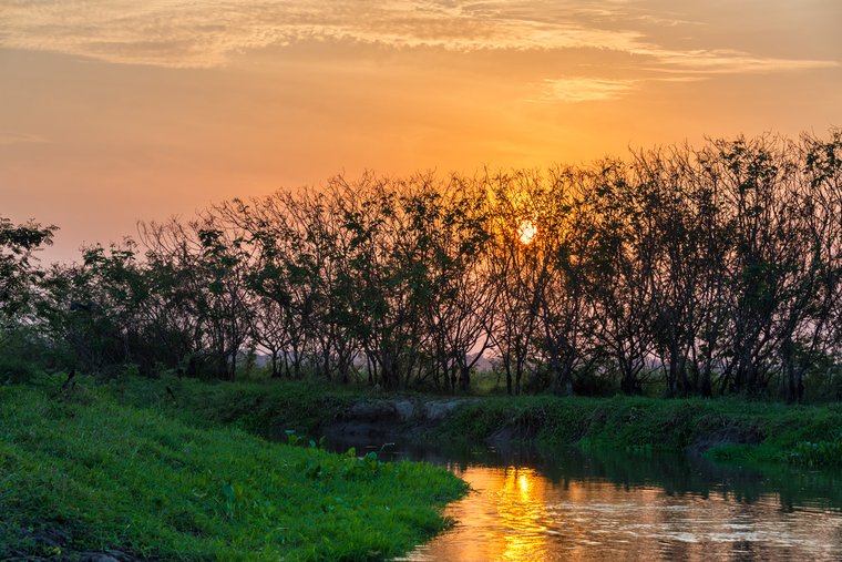 shutterstock_189059204.jpg