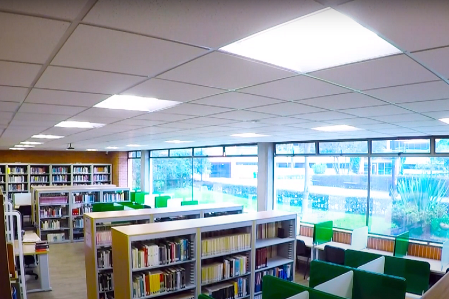BIBLIOTECA SATELITE.png