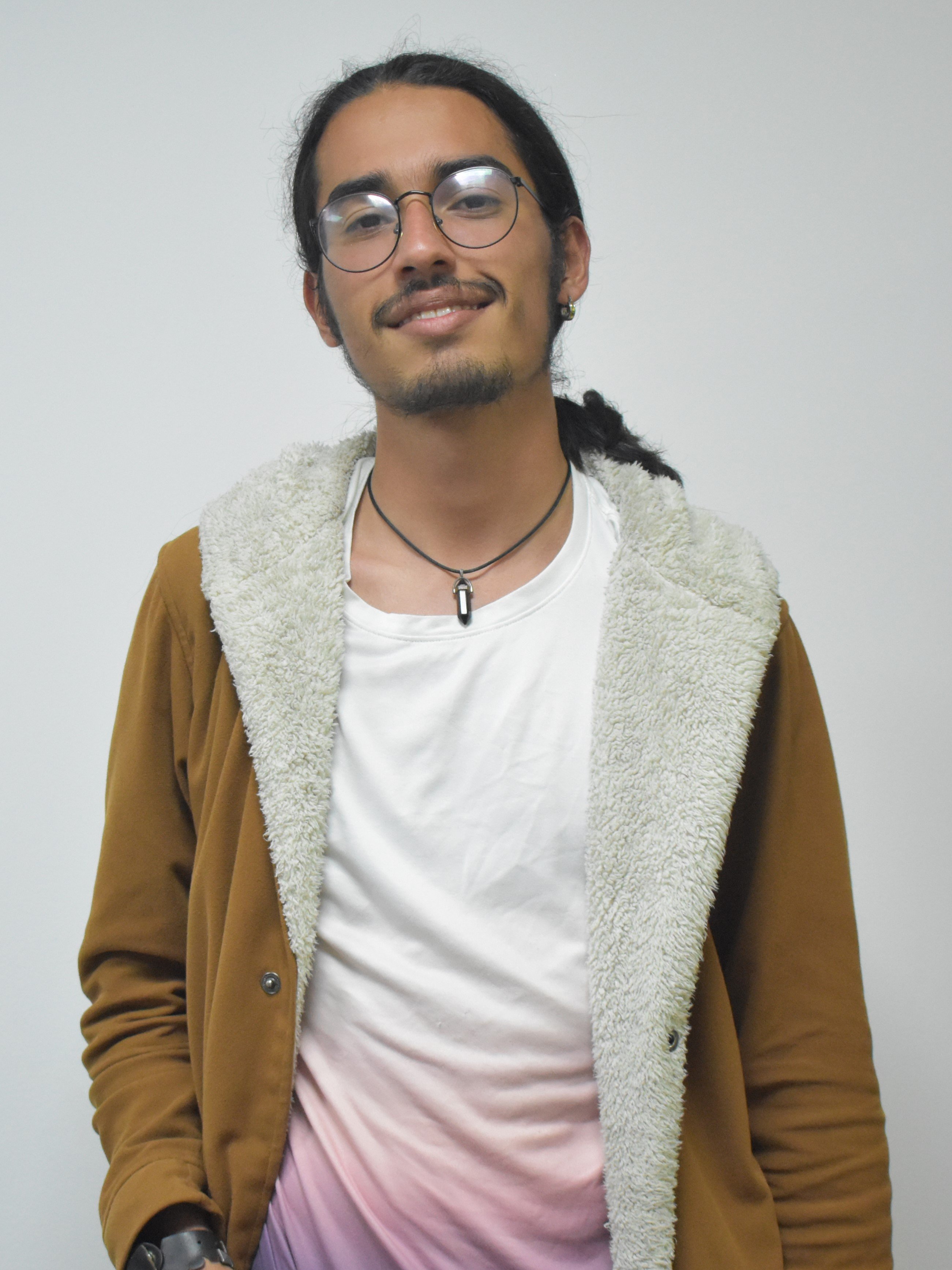 CC, Pre. Santiago Gualdrón Rincón, SISTEMAS