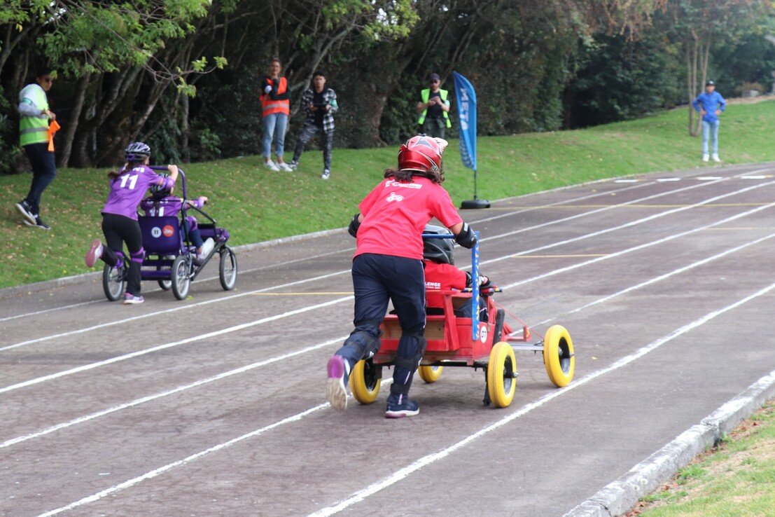 CIEDI Pushcarts (10)
