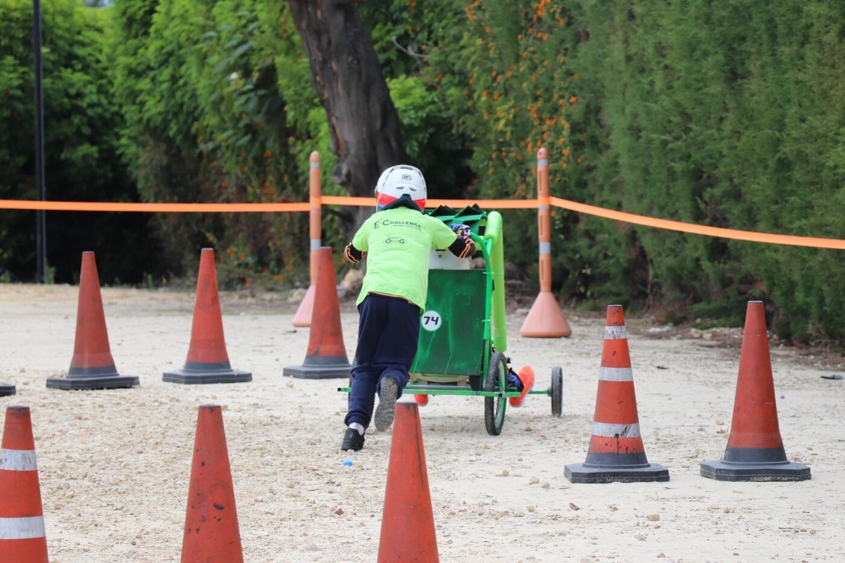 CIEDI Pushcarts (12)