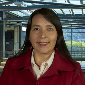 Claudia Patricia Santiago Cely - Julio Garavito