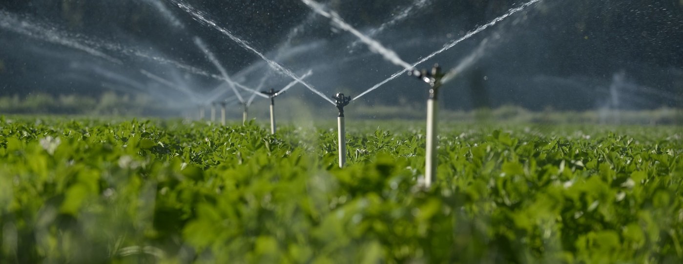 Curso Ingeniería de regadíos y drenaje agrícola.jpg