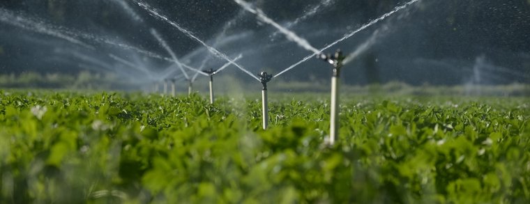 Curso Ingeniería de regadíos y drenaje agrícola.jpg