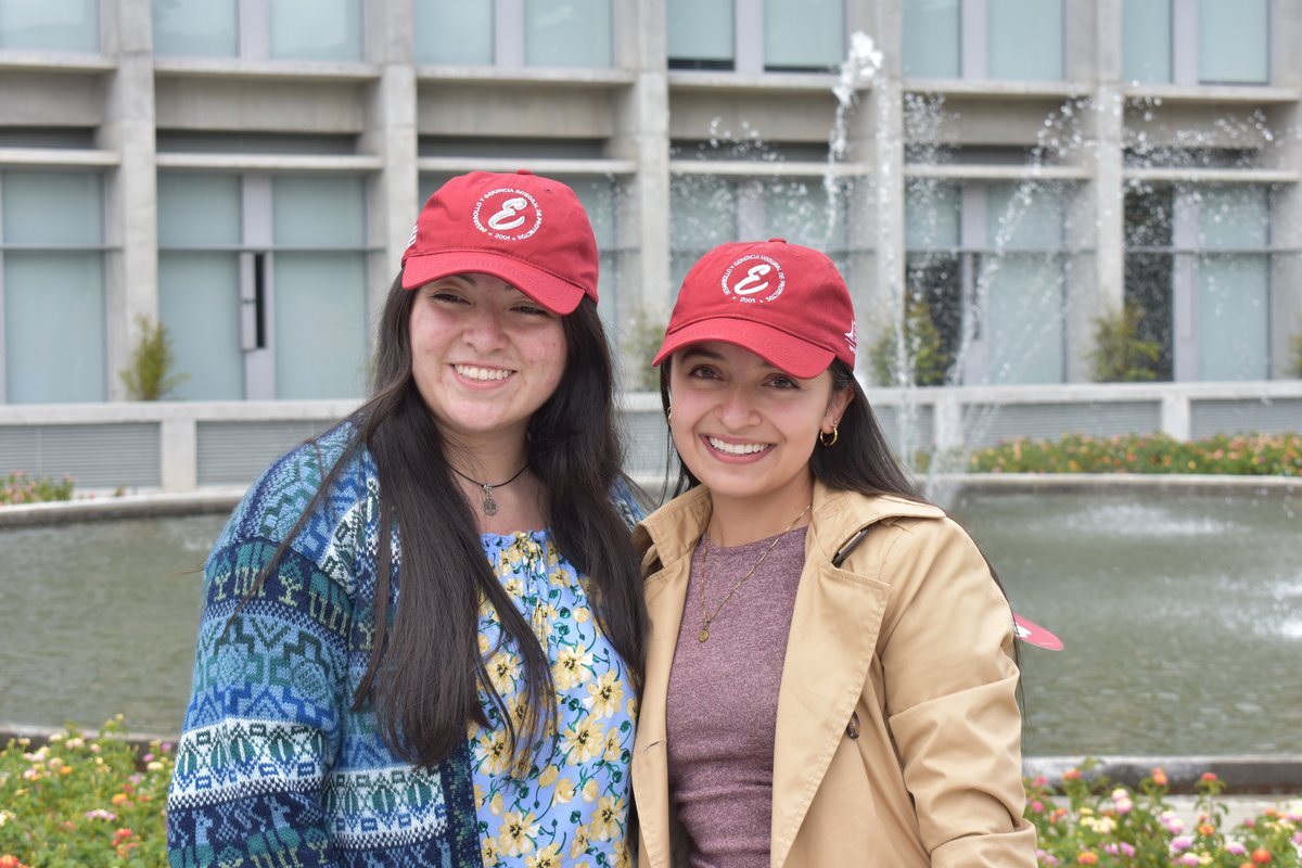 Desarrollo y Gerencia Integral de Proyectos en la Escuela