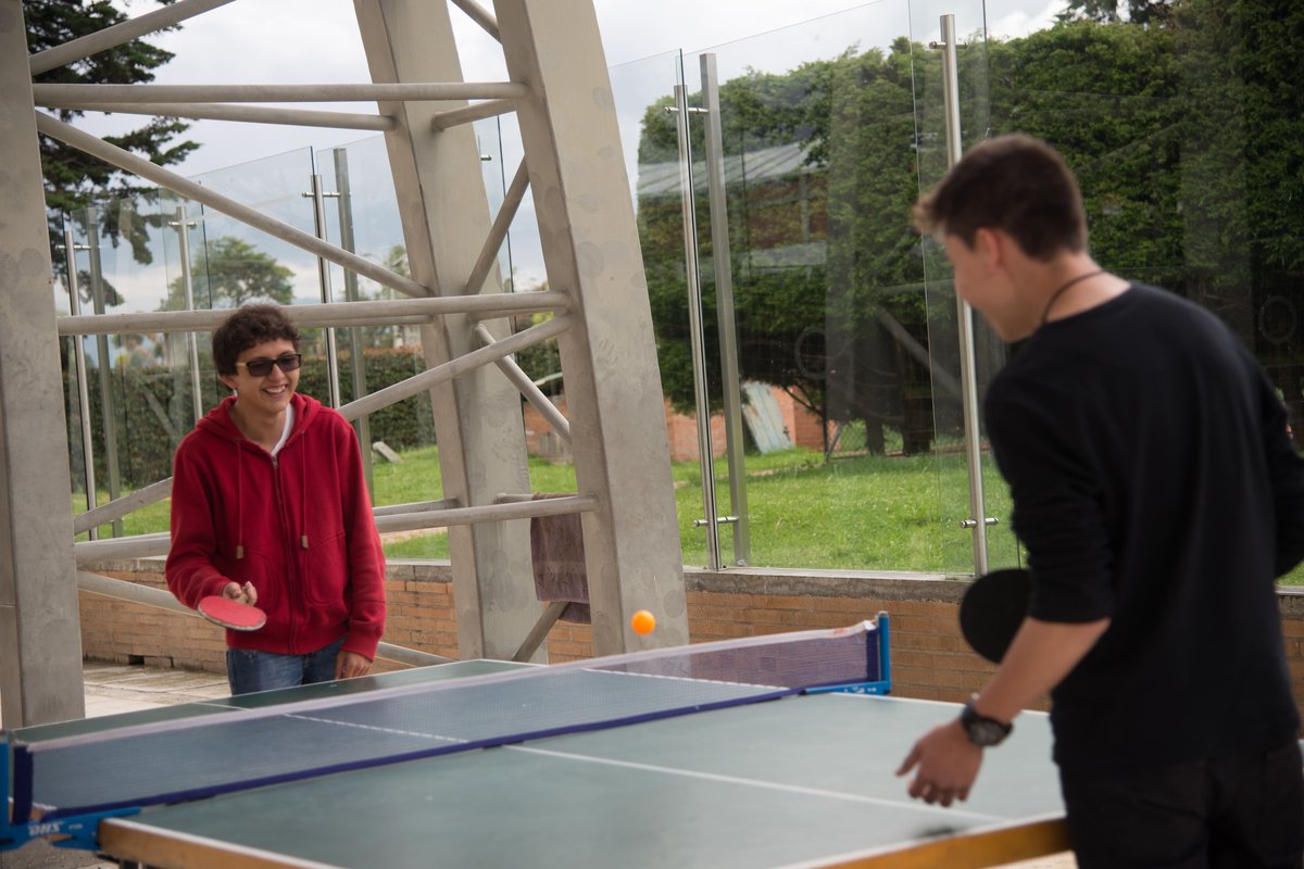 DÍA DEL DEPORTE PARA EL DESARROLLO Y LA PAZ