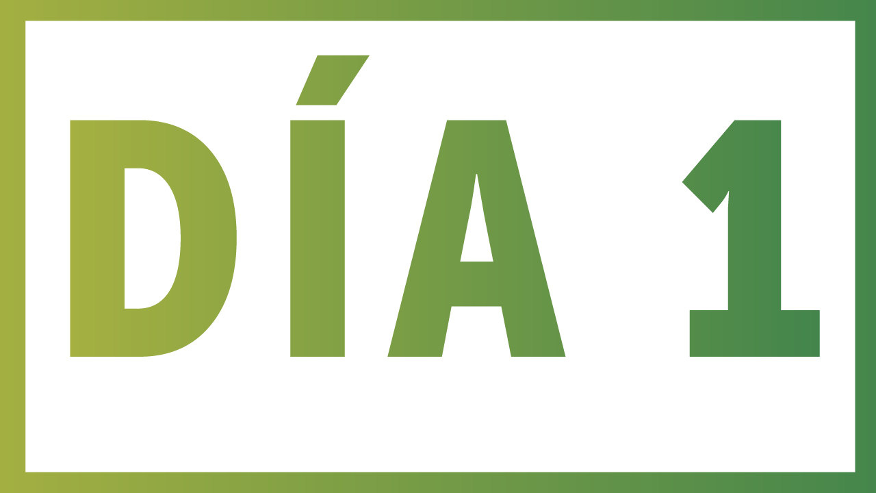 Día-1