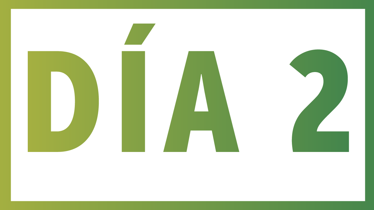 Día-2