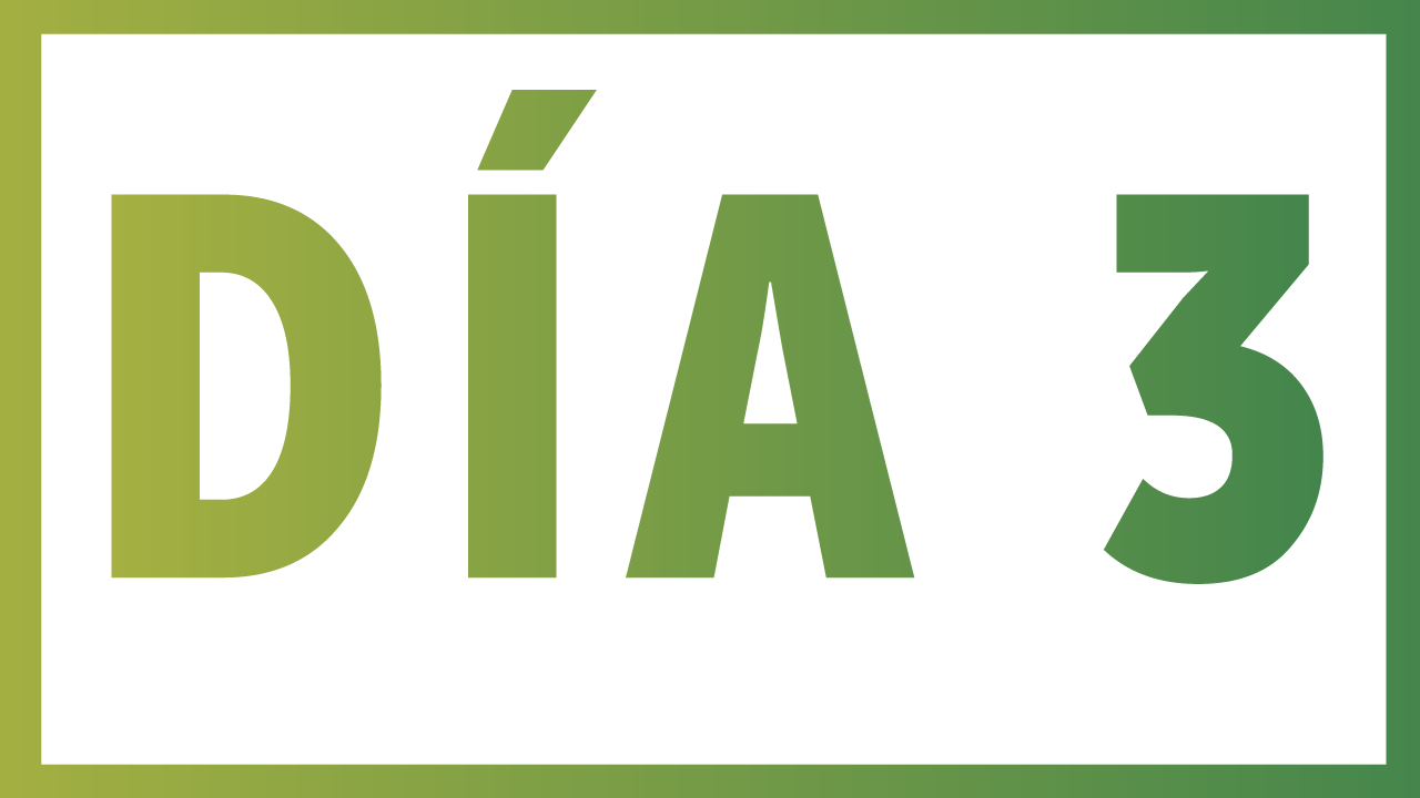 Día-3