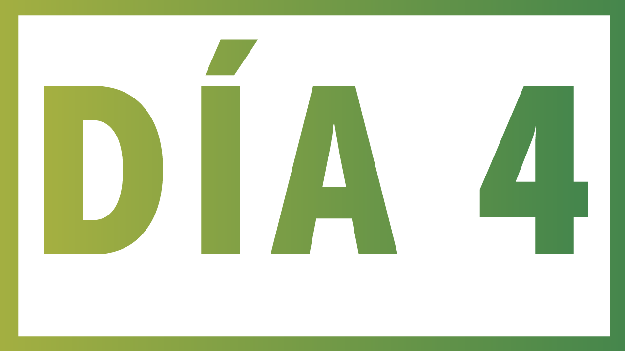 Día-4