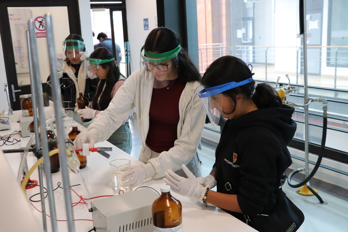 Día como profesional 2024-2 (9).