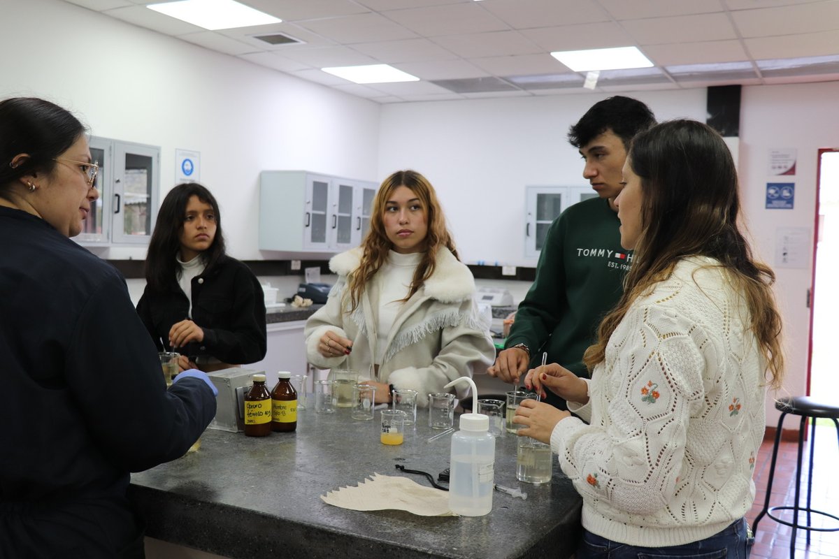 Día como profesional 2024-2 (20).