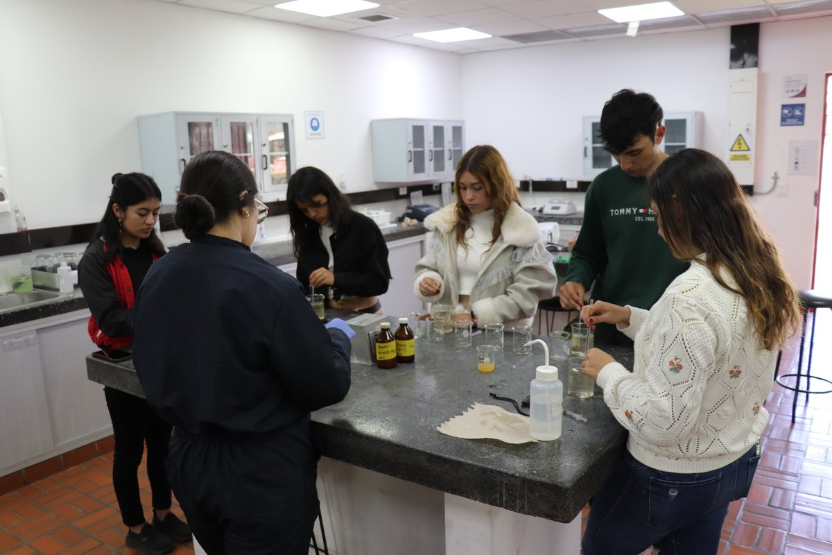 Día como profesional 2024-2 (8).