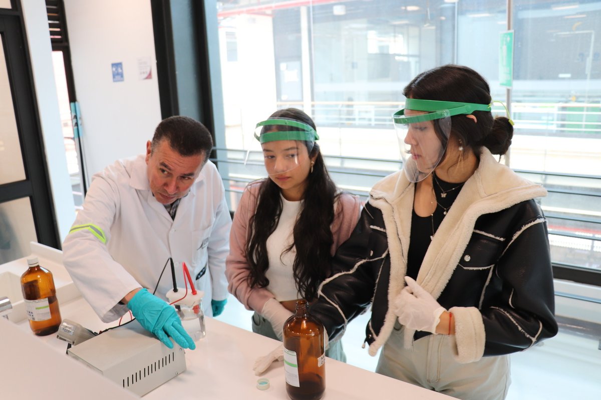 Día como profesional 2024-2 (19).