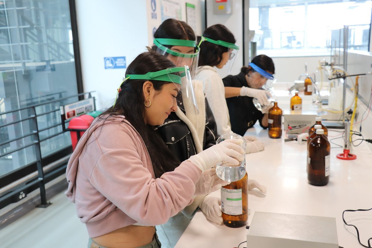 Día como profesional 2024-2 (32).