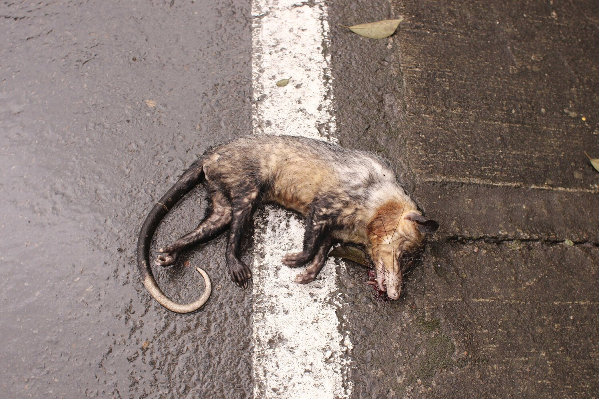 El tiempo de los acontecimientos (2)