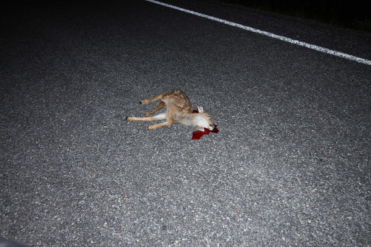 El tiempo de los acontecimientos (1)