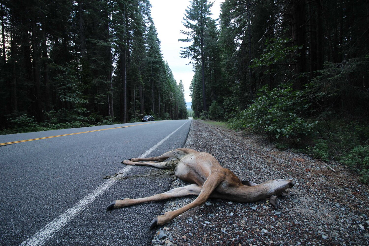 El tiempo de los acontecimientos (3)