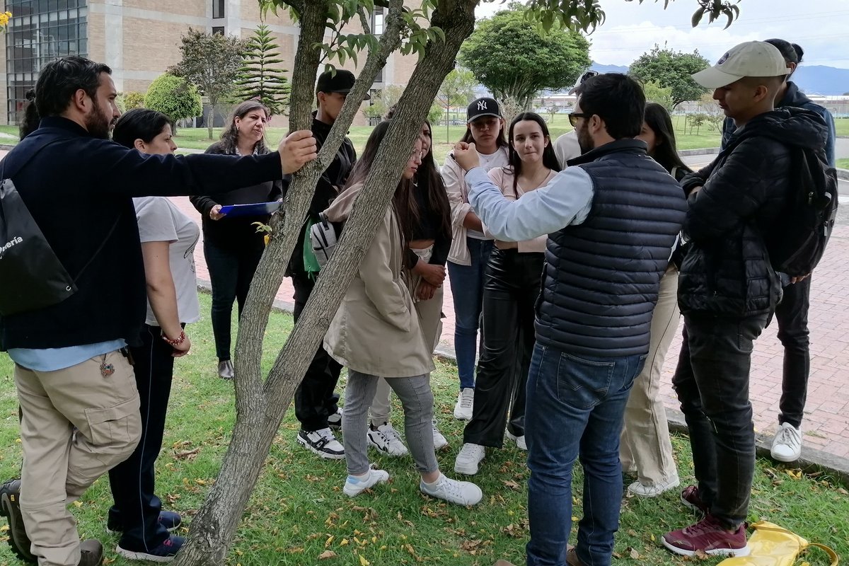 DIA COMO PROFESIONAL