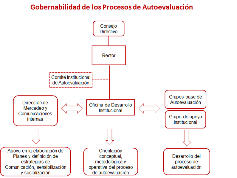 Organización de la autoevaluación de la institución y de programas académicos