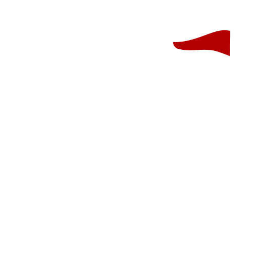 ico_flag_bn.png