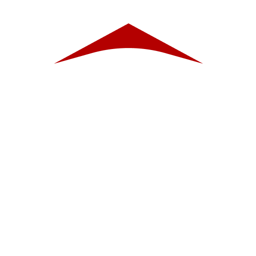 ico_culture_bn.png