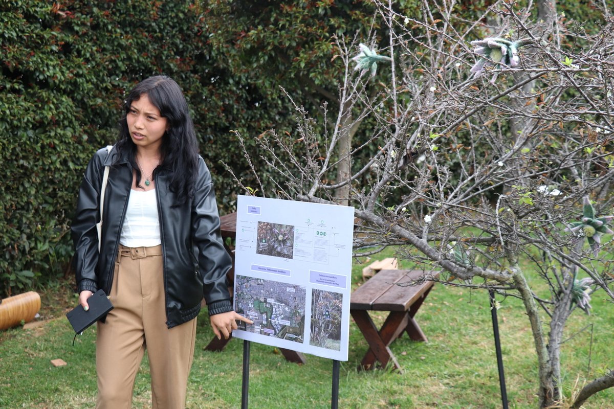 Haceleracionismos El Sur (17)