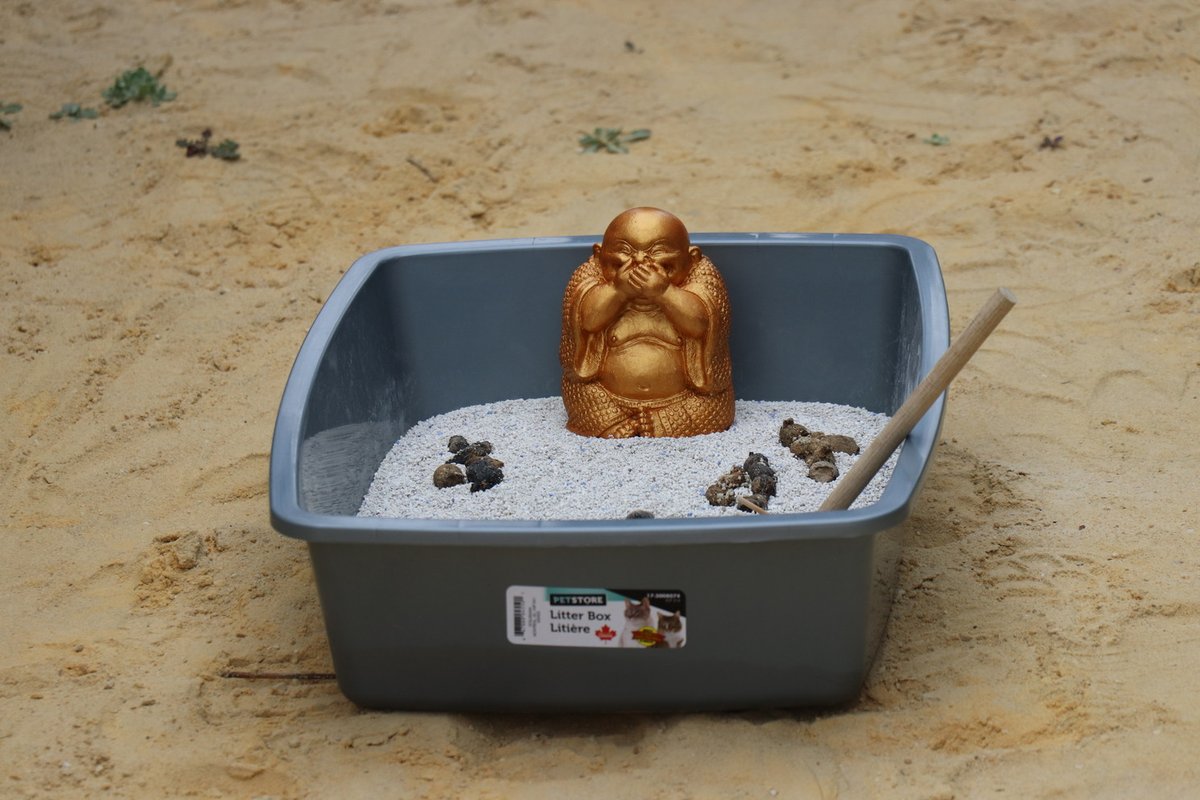 Haceleracionismos El Sur (22)