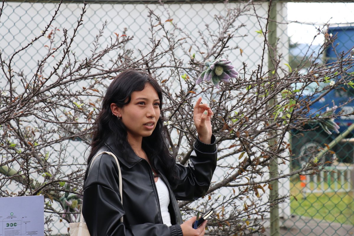 Haceleracionismos El Sur (3)