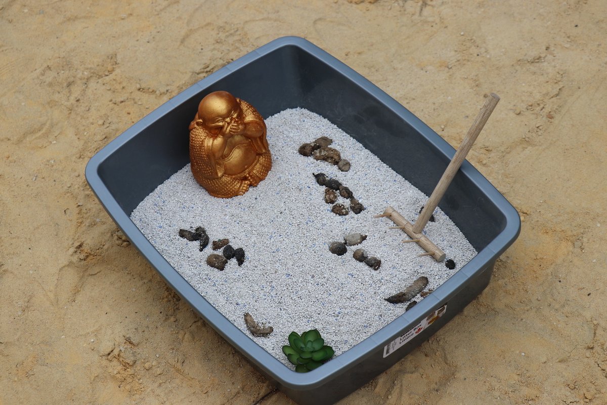 Haceleracionismos El Sur (5)