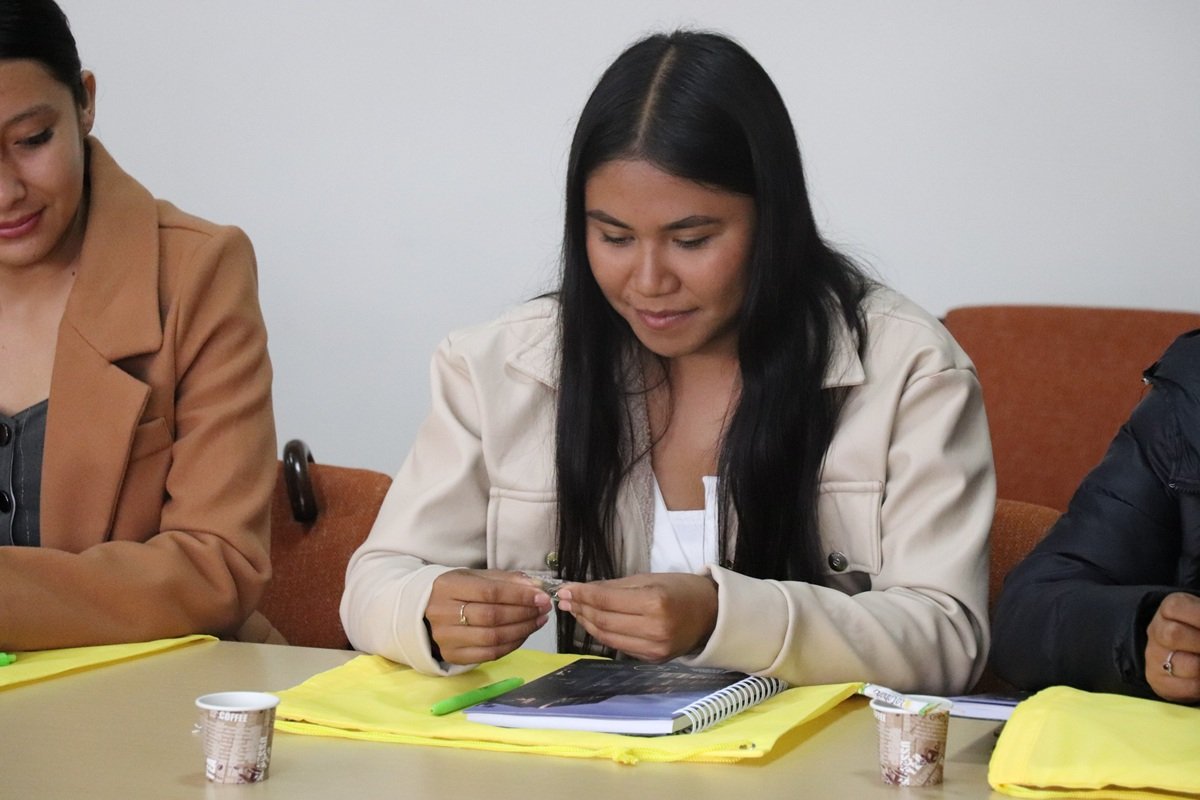 PROGRAMA DELFIN
