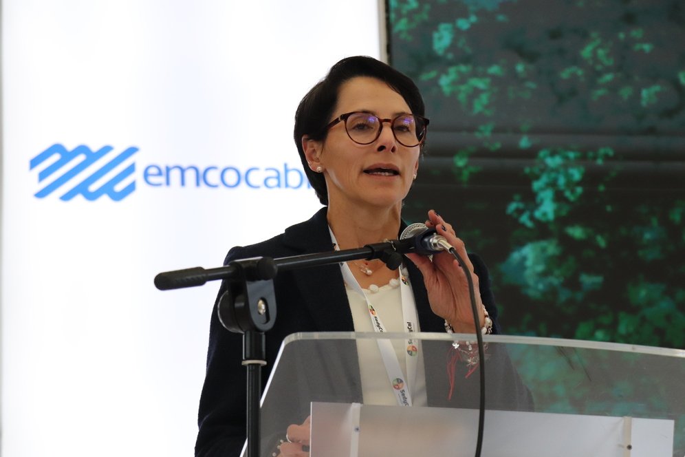 II SEMINARIO INTERNACIONAL DE GEOTECNIA