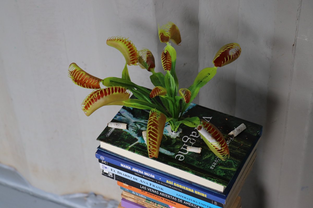 Lanzamiento nueva expo El Sur (6).