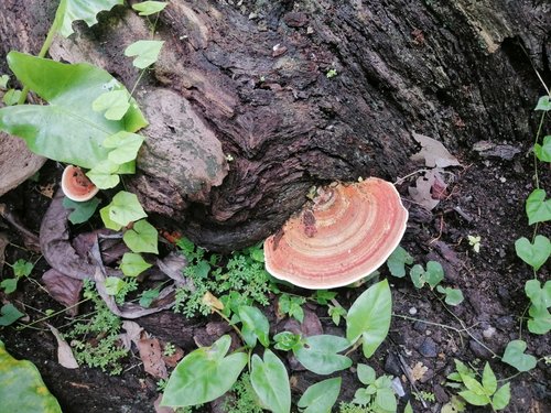 VIAJE A MARIA LA BAJA