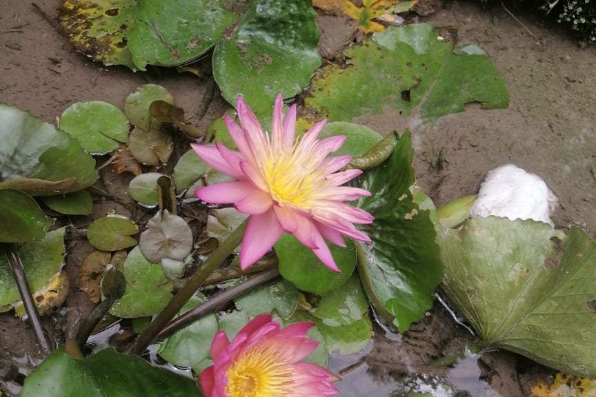 VIAJE A MARIA LA BAJA