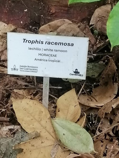 VIAJE A MARIA LA BAJA