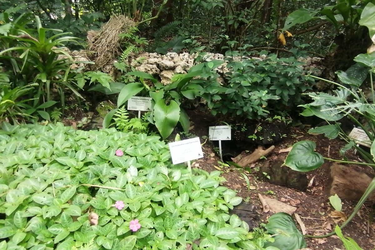 VIAJE A MARIA LA BAJA